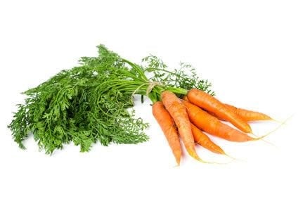 Carrot