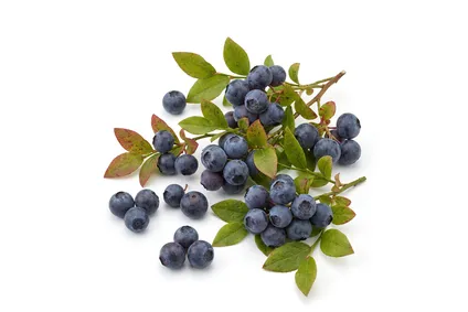 Huckleberry